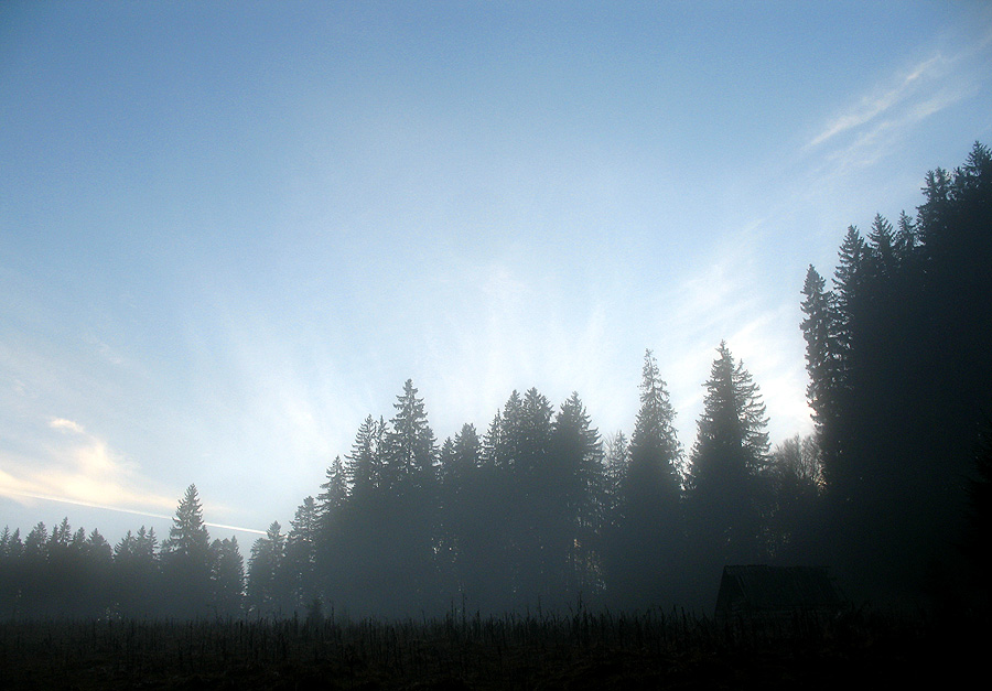 casuta din ceata si ceata din padure / the fog in the forest and the cabin in the fog