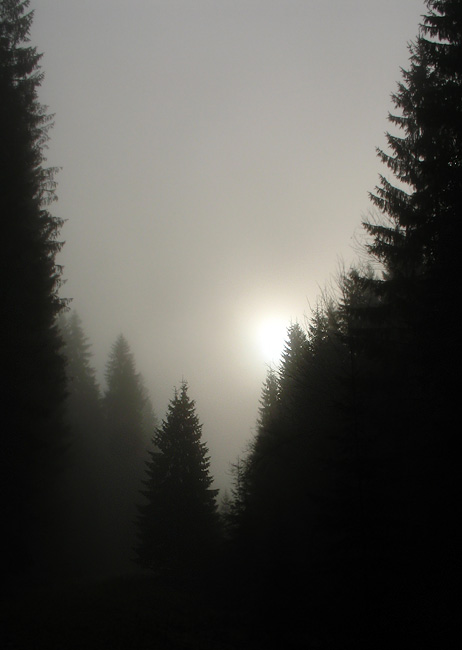 ceata / fog