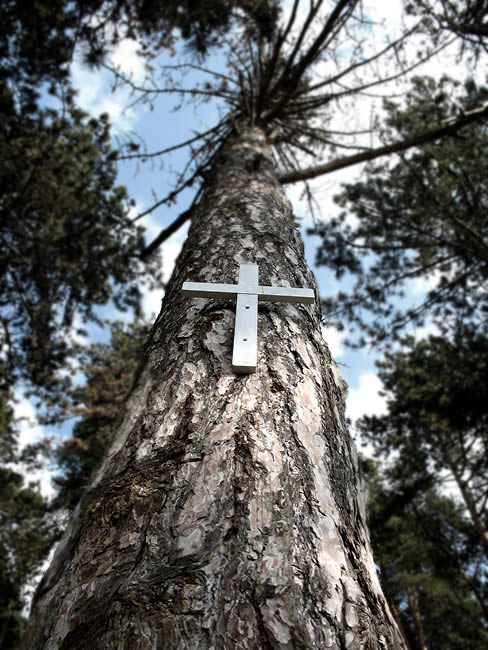 crucea rastignita / crucyfied cross