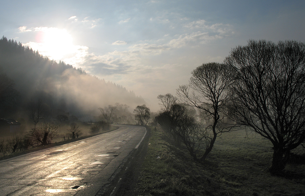 ceata de dimineata / morning fog