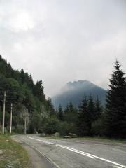 img_8807.jpg