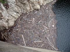img_8953.jpg