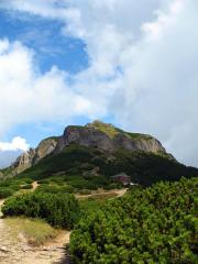 20070912223127_toaca.jpg