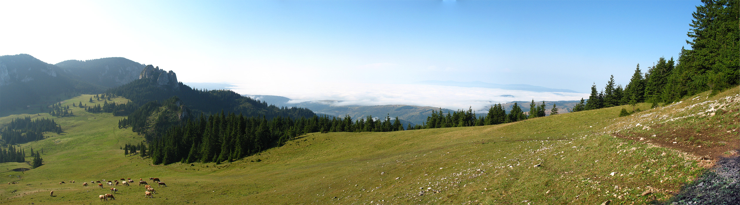 Piatra Singuratica, Hasmasul si vite