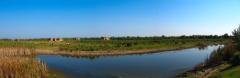 canal-in-sfantu-gheorghe.jpg