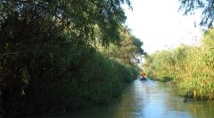 pe-canal-pe-dunare.jpg