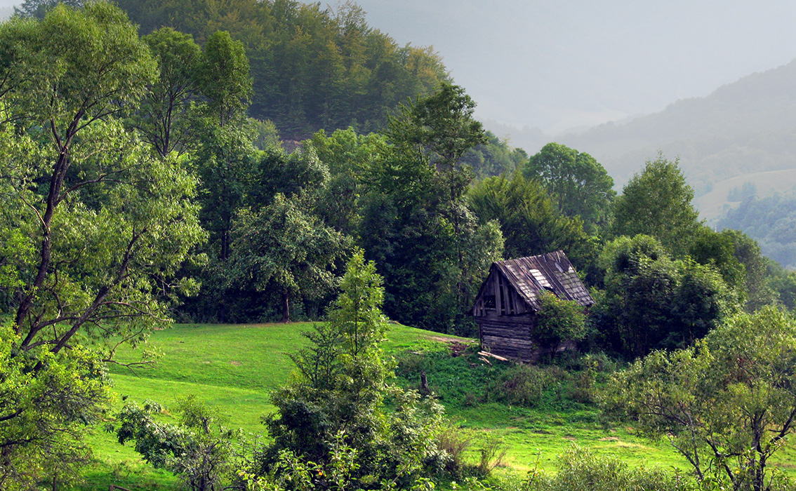 casuta suprasaturata / oversaturated house