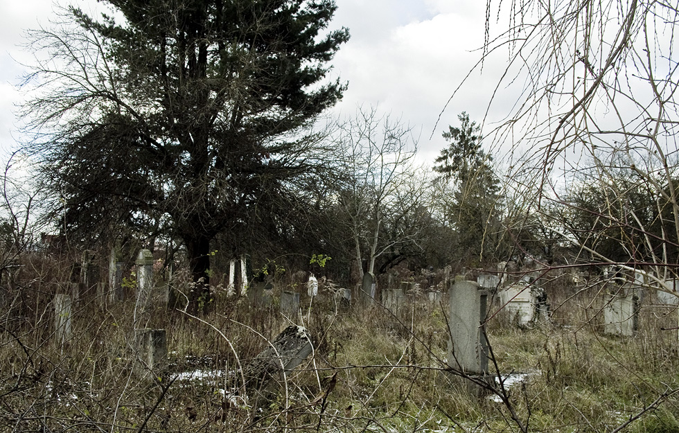 cimitirul evreiesc / jewish cemetery