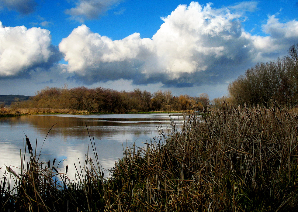 Muresul / Mures river