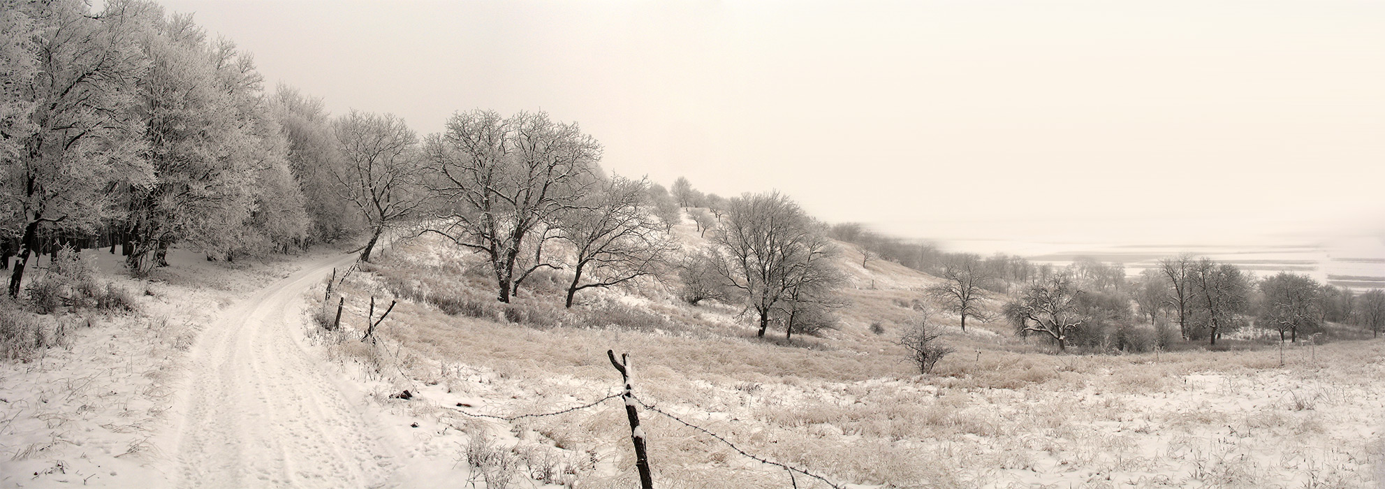 iarna din copilarie / memories of winter