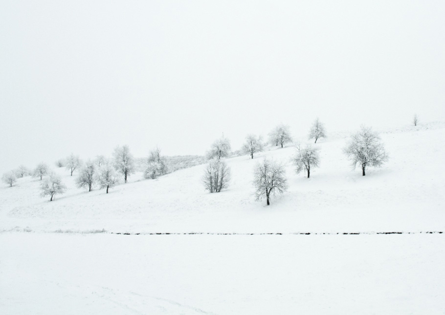 asteptand primavara / waiting for the spring