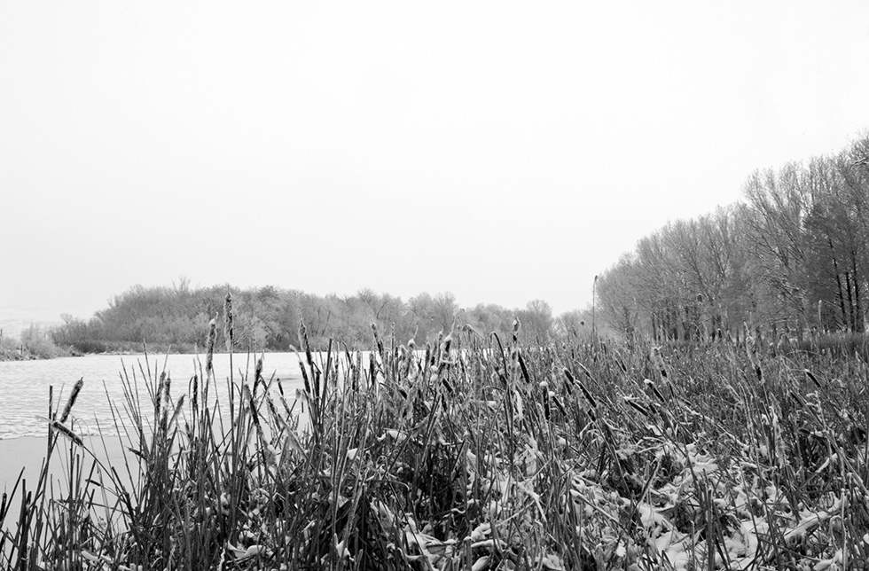 Muresul iarna / Mures river in the winter