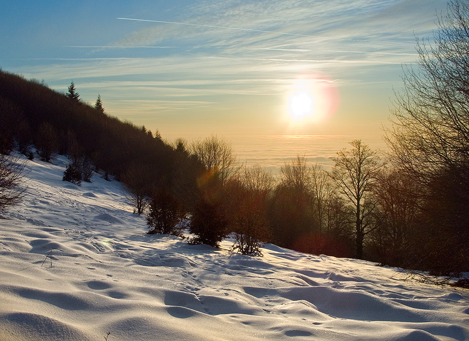 vis de iarna / winter dream