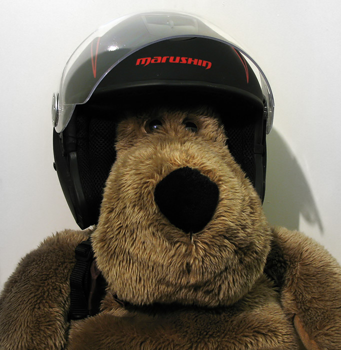 catelul-urs-motociclist / the biker dog-bear