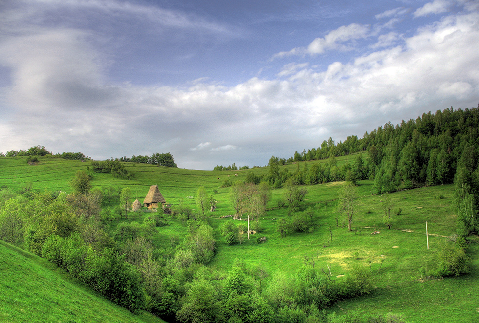 Undeva in Apuseni 3 / Somewhere in the Apuseni Mountains 3