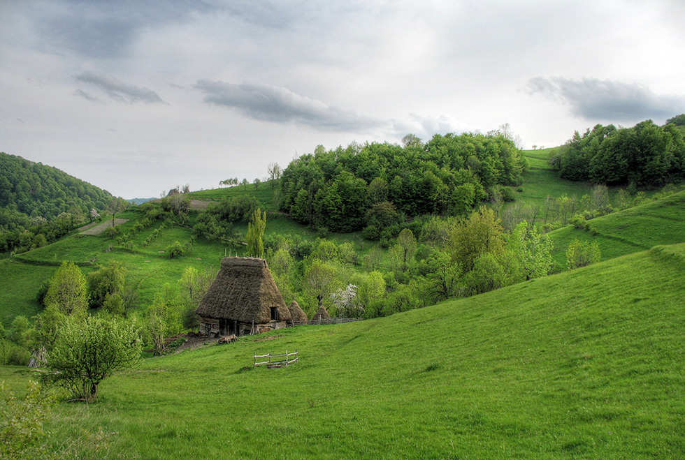 Undeva in Apuseni 4 / Somewhere in the Apuseni Mountains 4