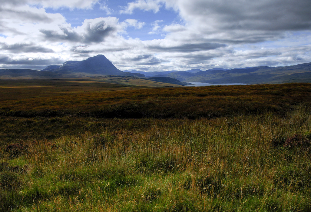 Ben Loyal