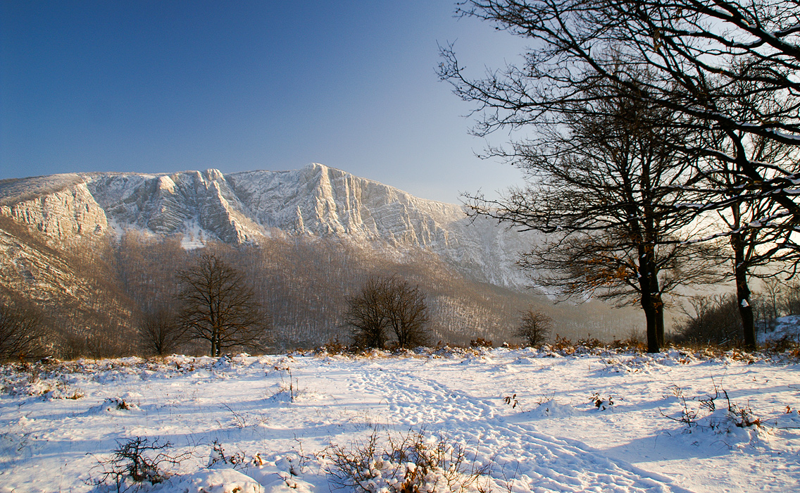 Serbian Carpathians