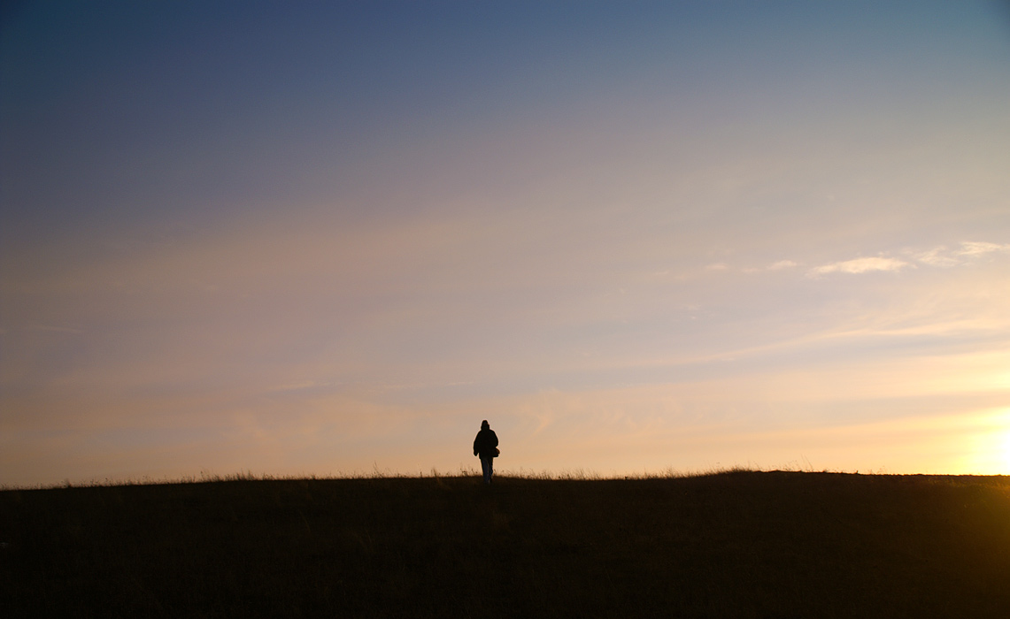 Radu at the horizon