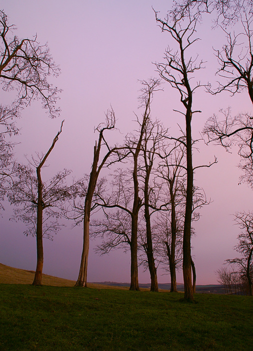 Purple sunset