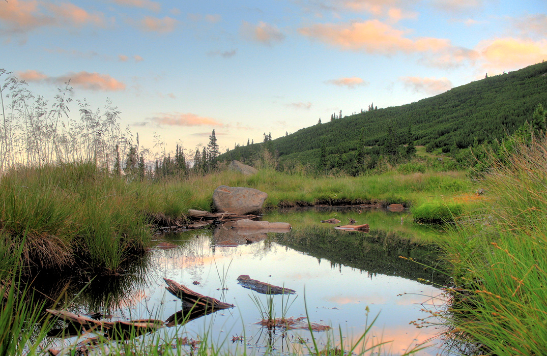 Little Mosqito Pond