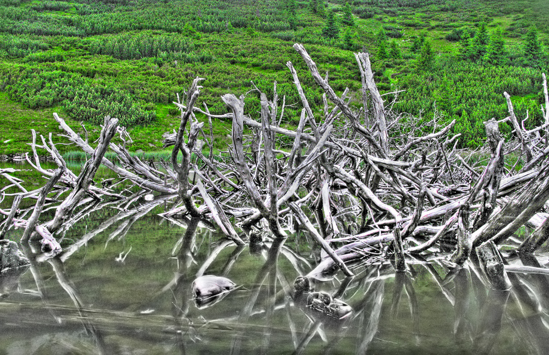 Iezer Lake Skeletons