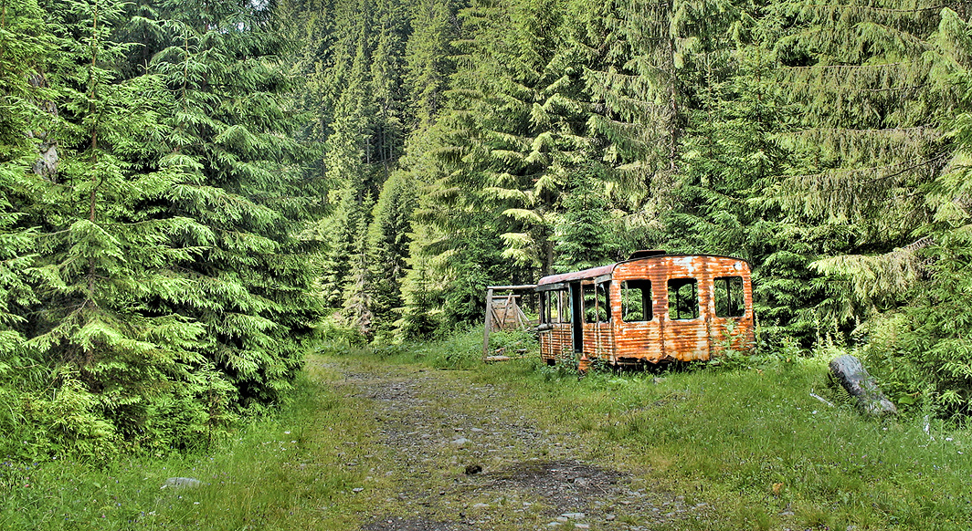 Abandoned Bus