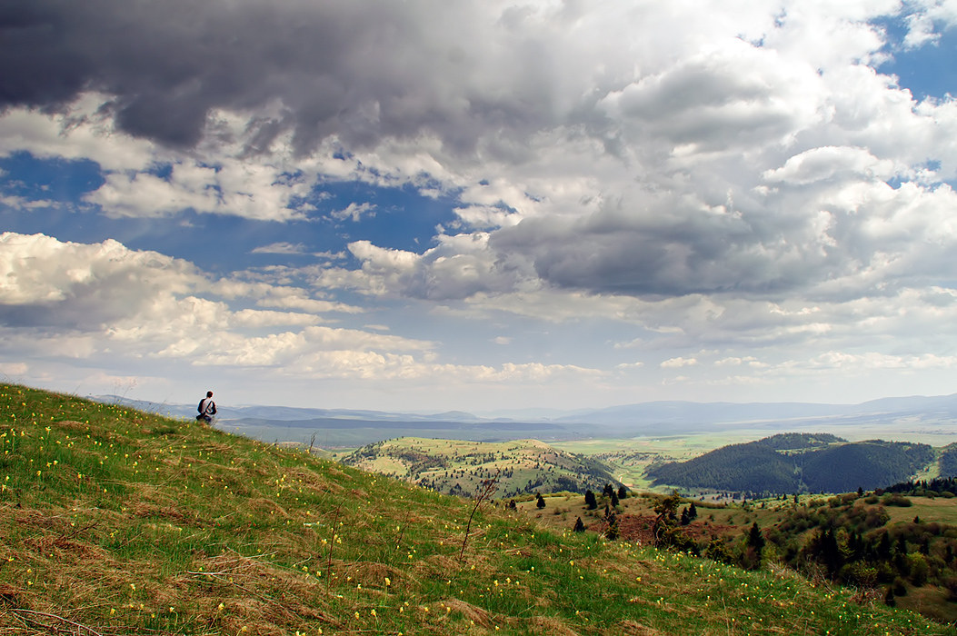 Under the exaggerated skies 