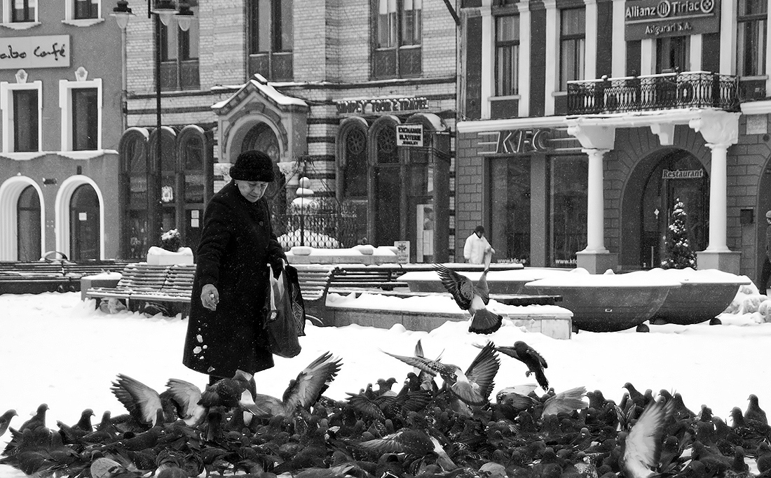 The old lady and her pigeons