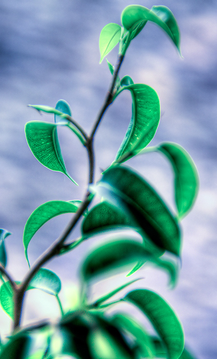 Green on blue hdr