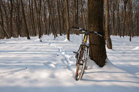 cu bicicleta la padure