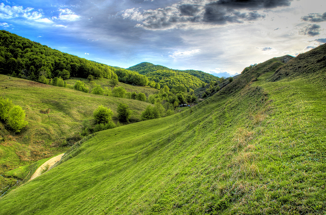 HDR Green