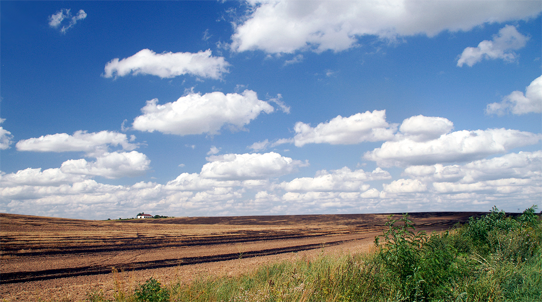 Towards Timisoara