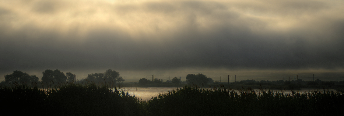 Apocalyptic Morning