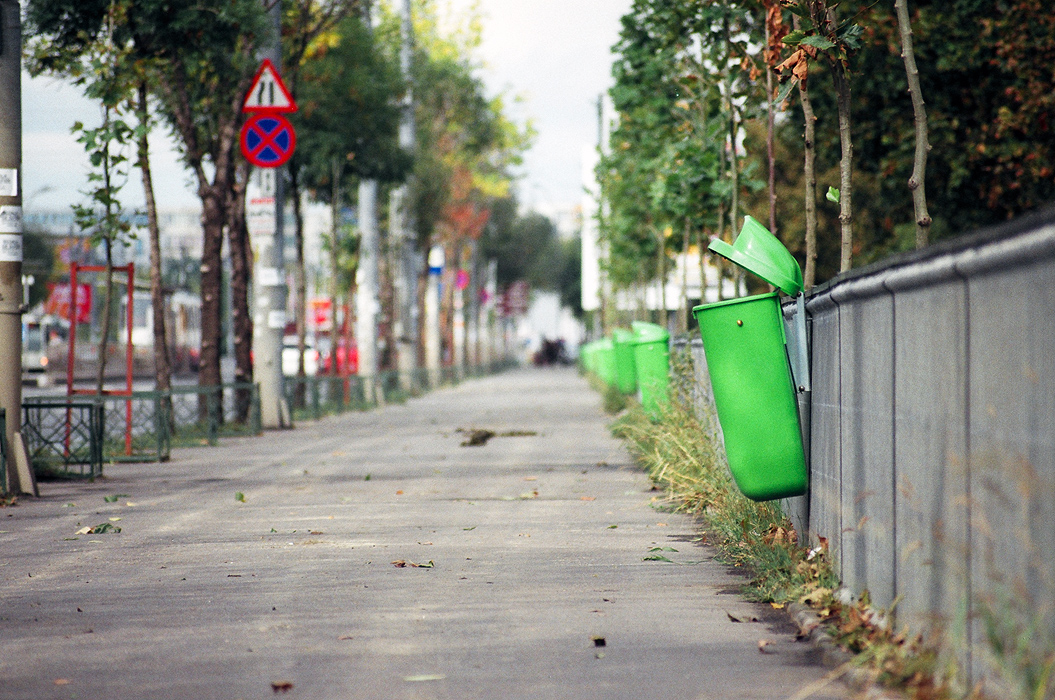 Green bins dof