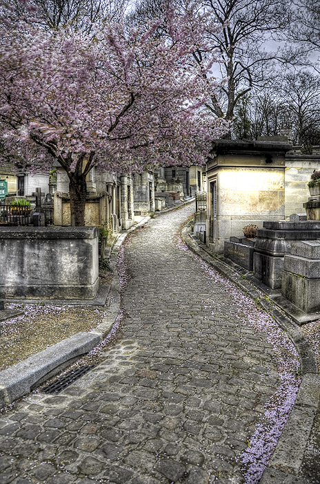 Pere Lachaise Alley