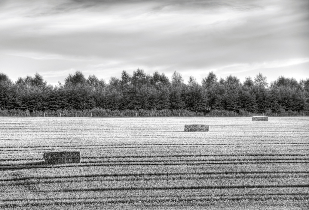 DSC_6522_3_4_tonemapped