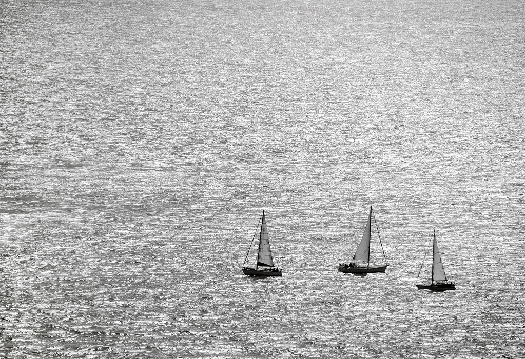 DSC_6584