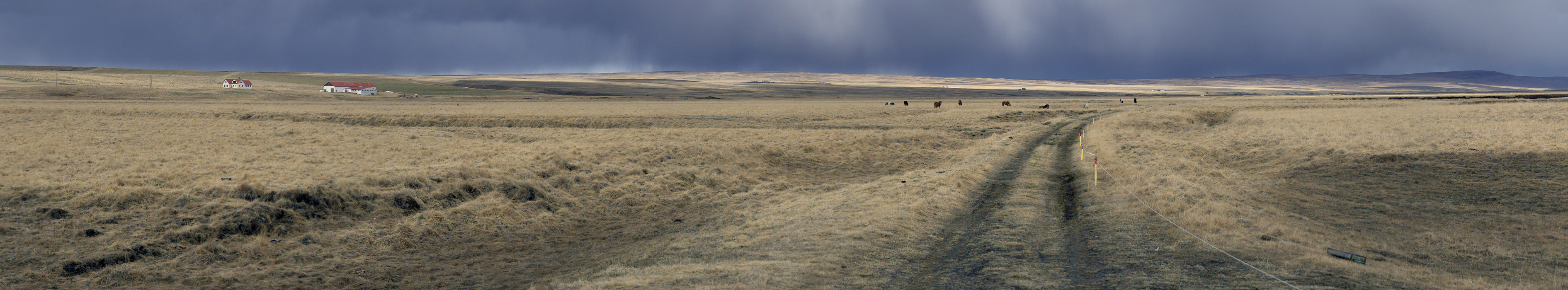 DSC_0198-Panorama