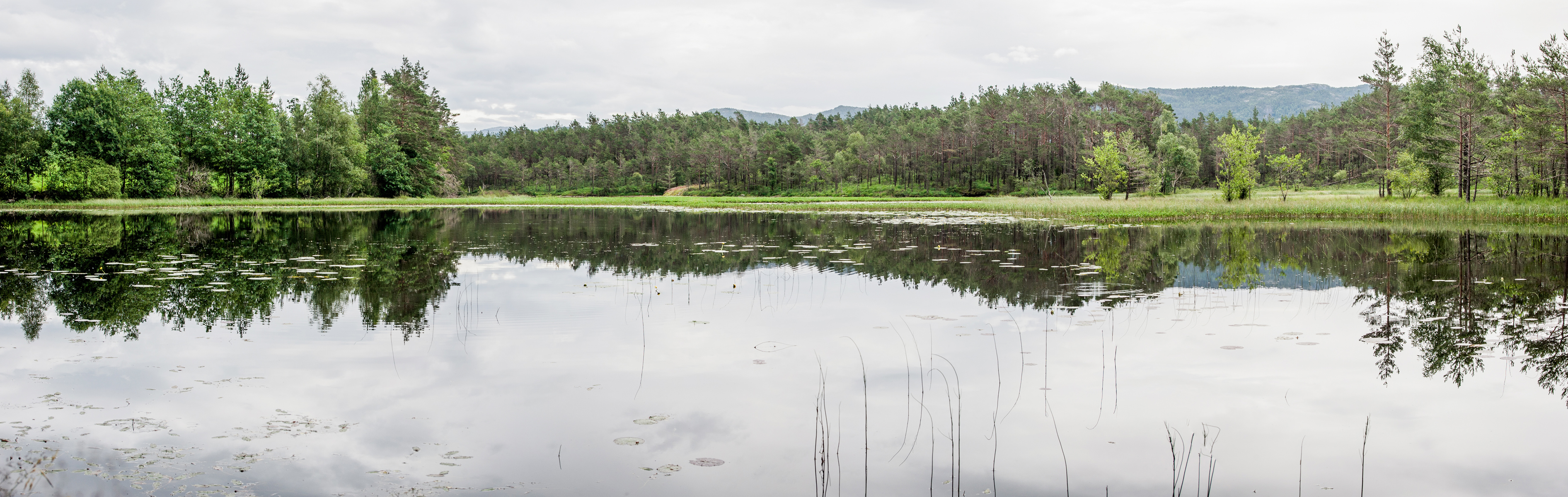 _DSC4899-Panorama