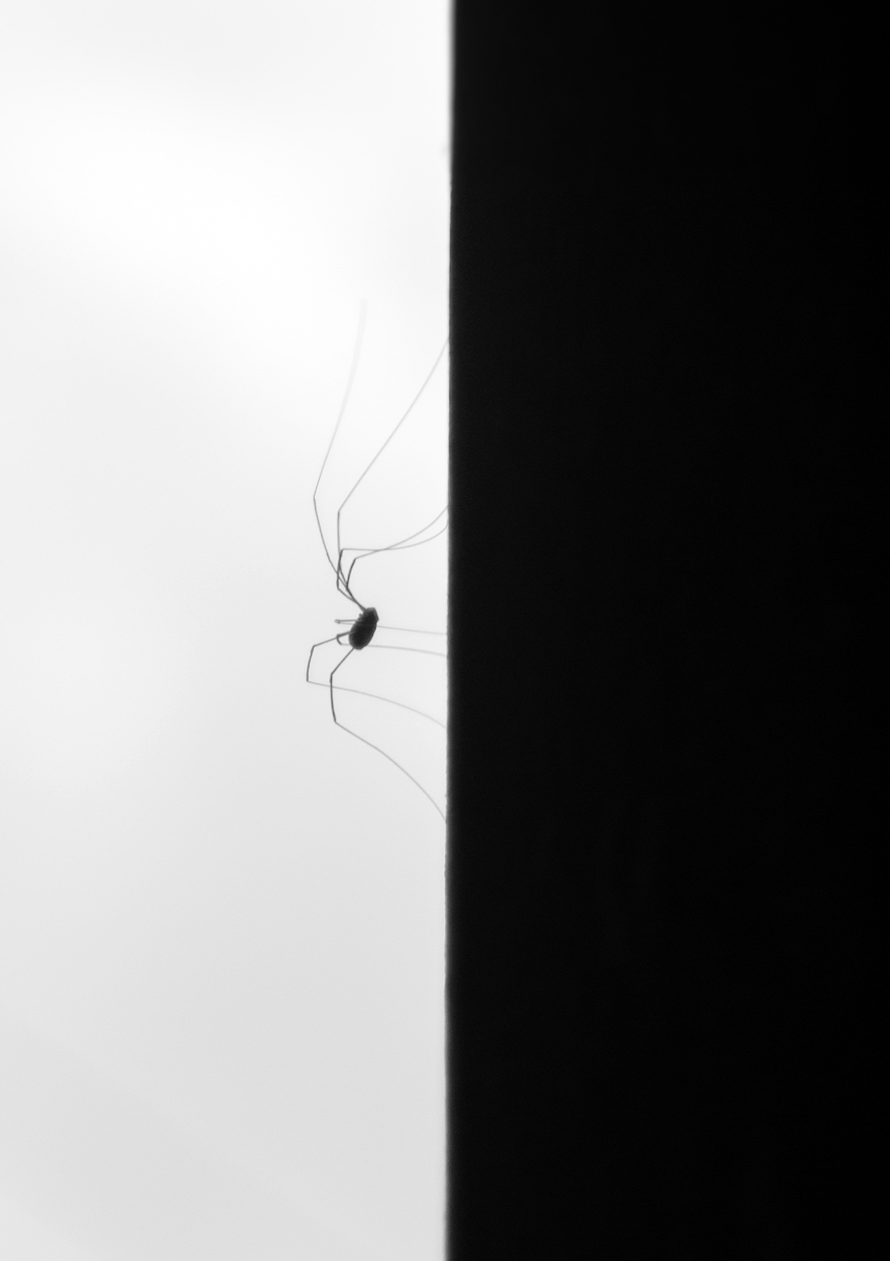 _DSC5531