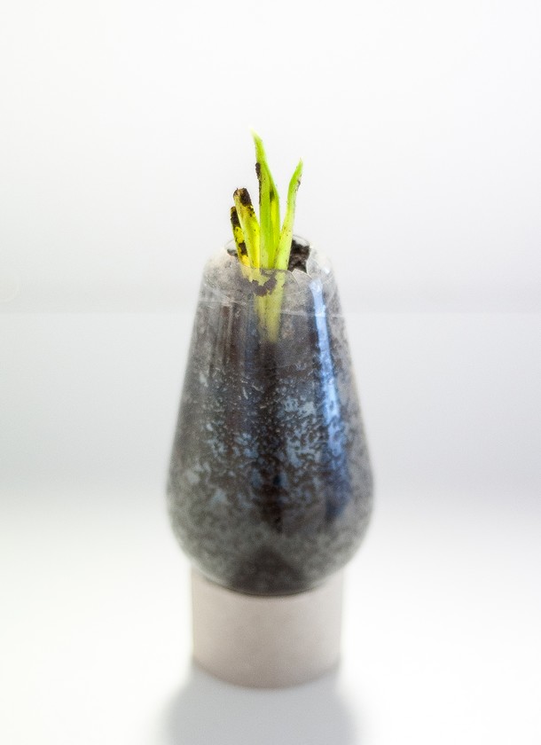 Portfolio Image