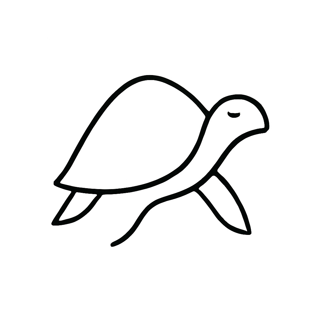 turtle