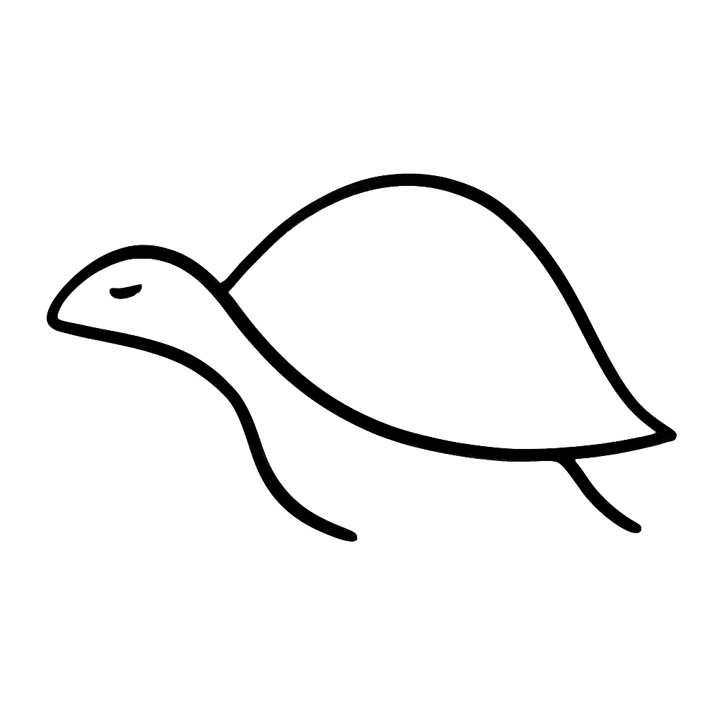 turtle