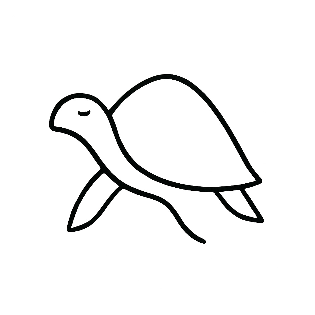 turtle