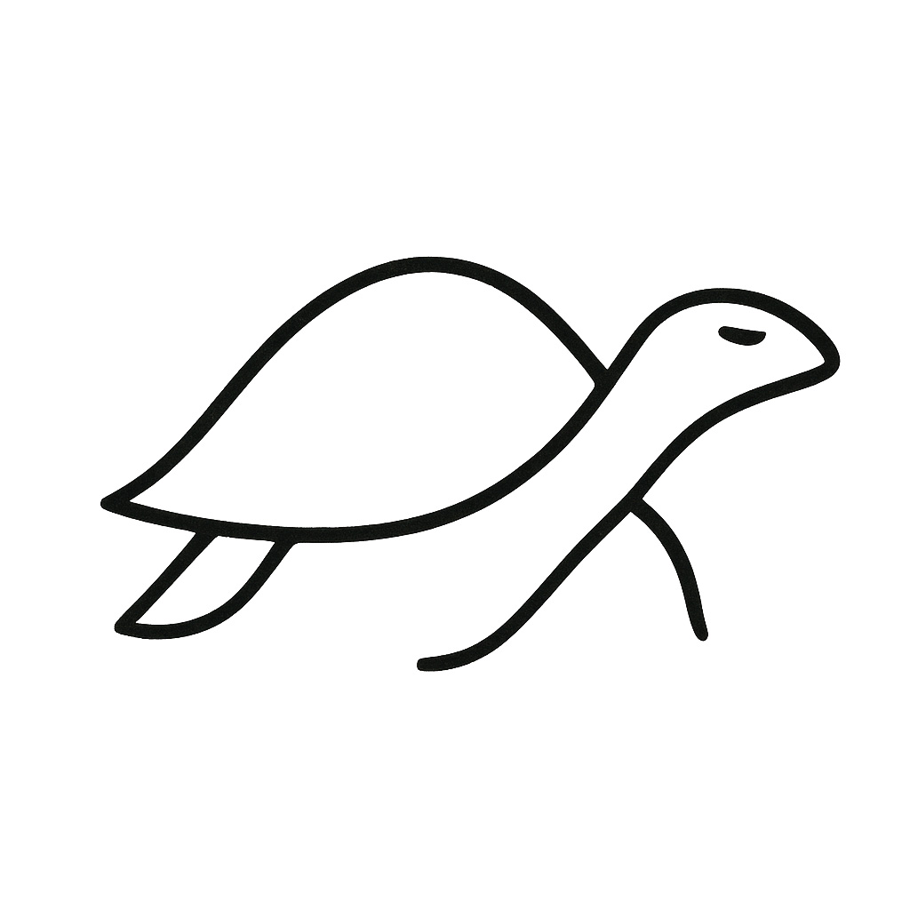 turtle